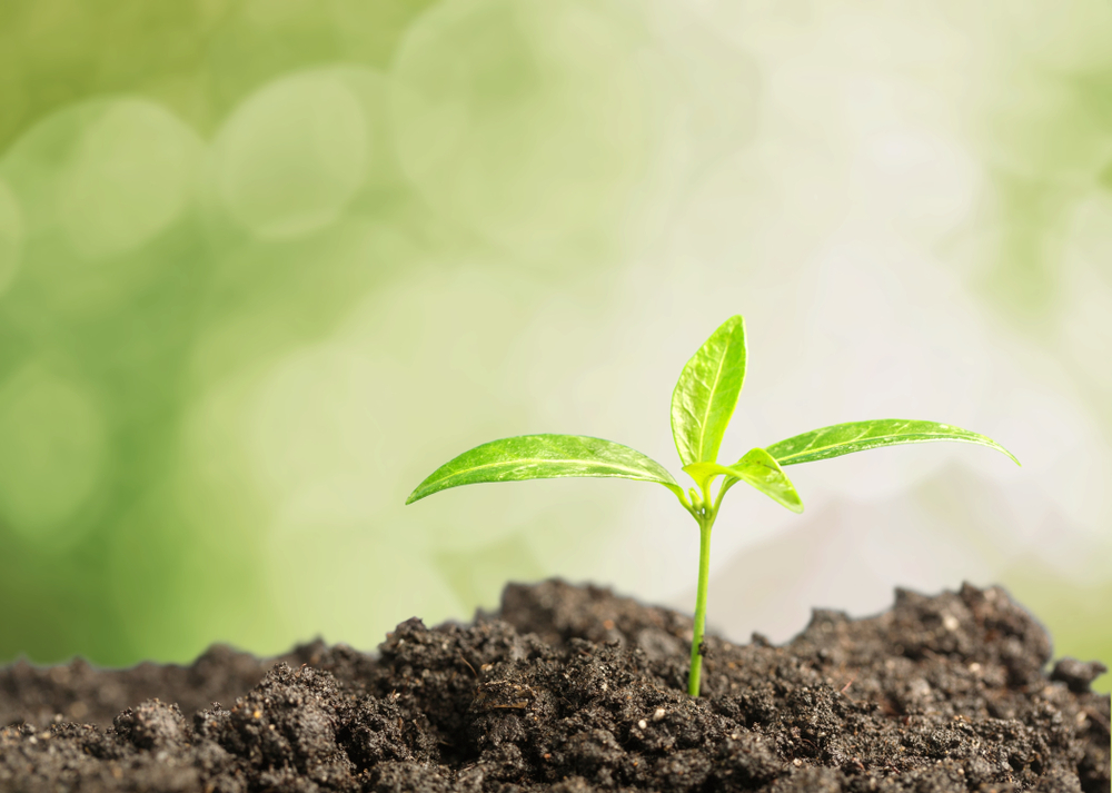 Green Initiatives